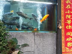 -又见炊烟私房菜(敬亭路店)