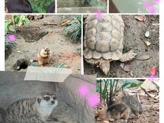 -成都动物园