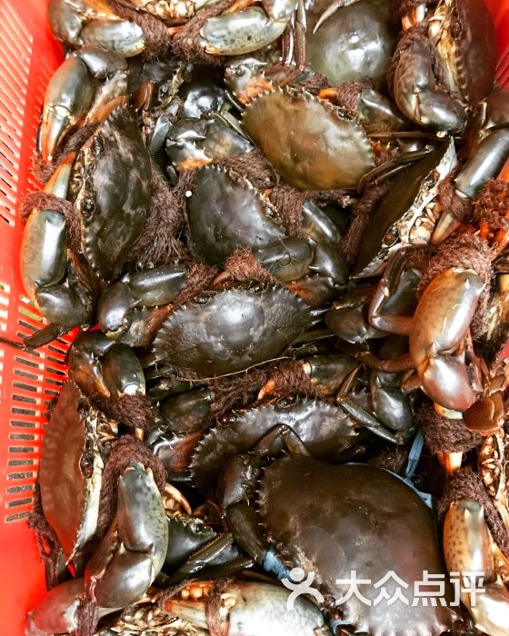 龙海鲜螃蟹王图片 - 第42张