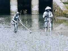 -北海金海湾红树林生态旅游区