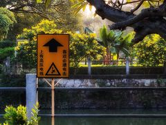 -晓港公园