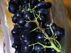 -百果园(芳华路店)