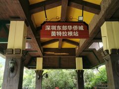 -深圳东部华侨城茵特拉根酒店