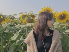 -映月湖中央公园