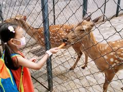 -长白岛森林公园