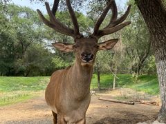 -北京野生动物园