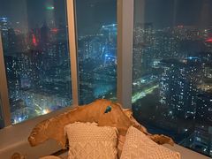 -Jungle Nat 高空餐厅