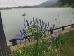 -南北湖风景区
