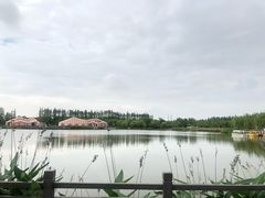 -上海长兴岛郊野公园