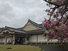-醍醐寺