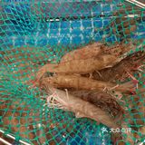 江宁金鹰新开的❗❗❗