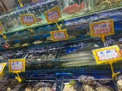 -大东海海鲜酒楼(渔人码头总店)