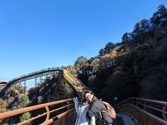 -少华山国家森林公园