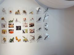 -boundaries籬苑(瑞光创意工厂-贰号院店)