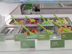 -Salud撒露欧洲冻酸奶(五道口购物中心店)