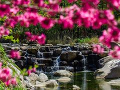 -泰山花样年华景区