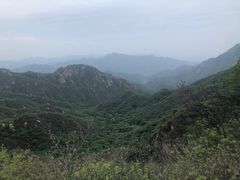 -大岭沟猕猴桃谷风景区
