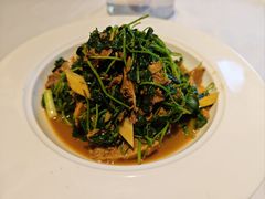 蚌肉金花菜-洋洋中餐馆·SINCE 1997(信投店)