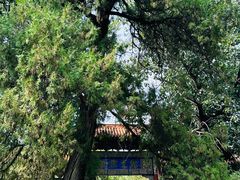-中岳庙