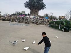 -郑州银基国际旅游度假区