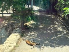 -大连森林动物园