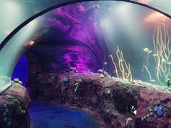 -沈阳海洋探索中心