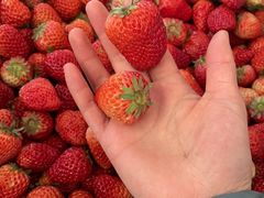 -西郊国际农产品交易中心