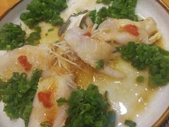 -天正河鲀·河豚亭(大连店)