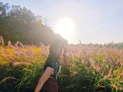 -汉长安城未央宫国家考古遗址公园