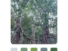 -中国科学院西双版纳热带植物园