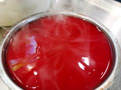 冷锅鸭血-小王少龙火锅(沙南街店)