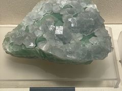 -安徽省地质博物馆