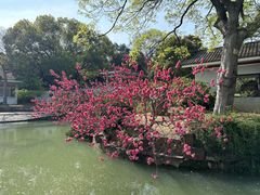 -无锡梅园公园