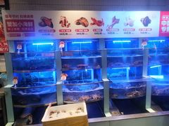 -七欣天香辣蟹火锅(南京建宁路大观天地店)
