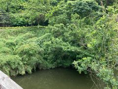 -阿哈湖国家湿地公园