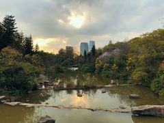 -云溪植物园