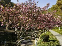 -昆山城市公园