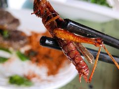 -88号小吃店·经典云南菜·地道纳西美食