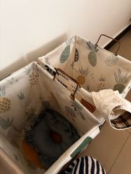 -程氏苗堂苗技养生