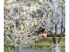 -国际非物质文化遗产博览园