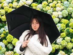 -苏州上方山国家森林公园