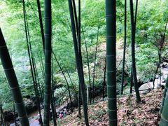 -藏龙百瀑风景区