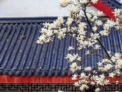 -堤角公园