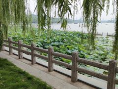 -济南大明湖景区