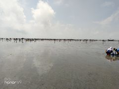 -刘家湾赶海园