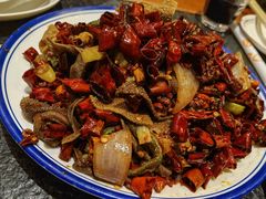 -福苗小骆驼烧烤(大唐不夜城店)