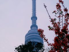 -龟山风景区-龟山电视塔