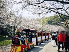 -团城山公园