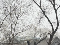 -四季民福烤鸭店(故宫店)