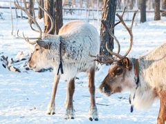 -北极村旅游风景区